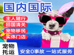 张家界空运公司国际宠物托运 【国
